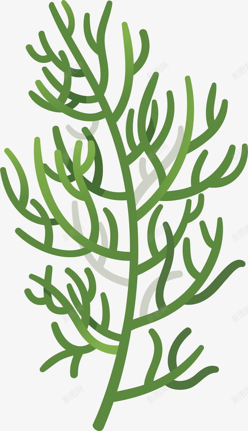 手繪卡通蔬菜茴香苗矢量圖 調(diào)料 食品 食物 飲料 香蕉 鮮嫩的 元素 免摳png 設(shè)計圖片 免費下載 頁面網(wǎng)頁 平面電商 創(chuàng)意素材 蘋果卡通素材