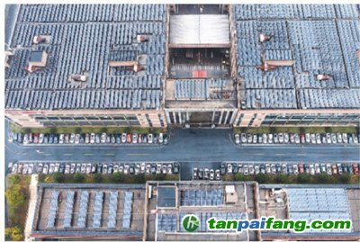 打造綠色環境 升級綠色產線 研發綠色產品 綠色工廠 綠 意盎然