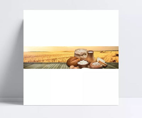 淘寶天貓五谷類banner banner,淘寶天貓,五谷,稻田,食品,健康,自然,秋,豐收,背景,其他,背景圖 嫣橙色