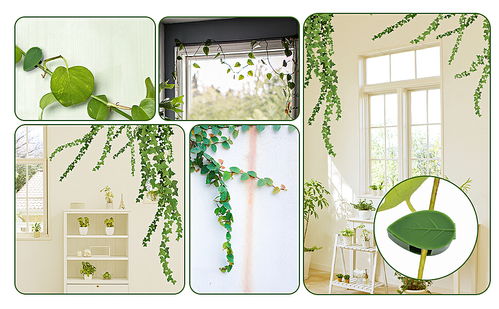 亞馬遜產品 主圖 a