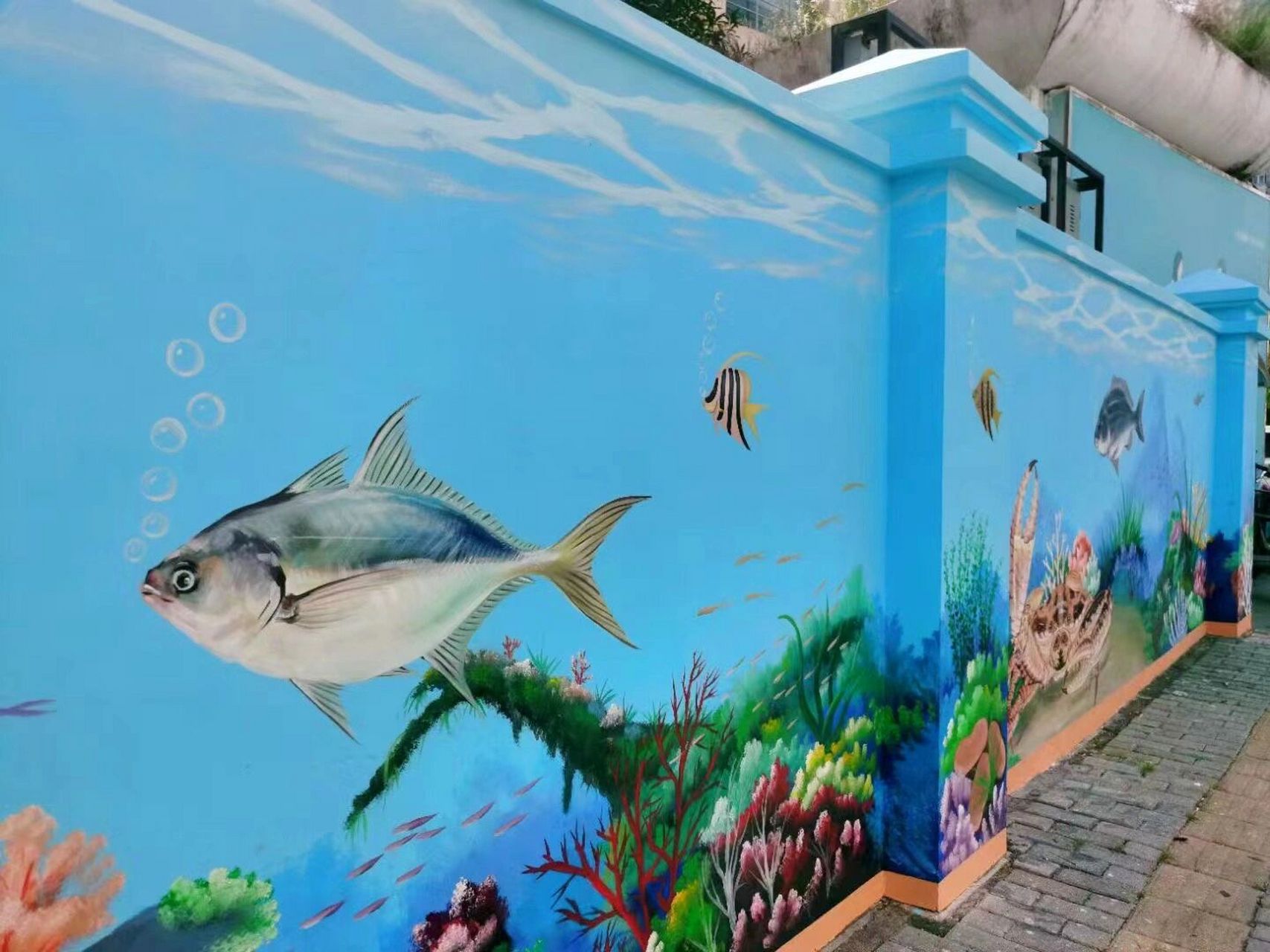 #藝術# #創意墻繪# #墻體彩繪# #海洋生物壁畫# #手繪墻#