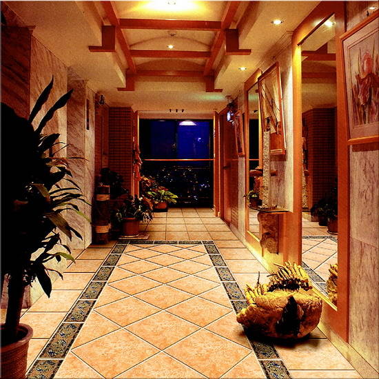 羅馬利奧 產(chǎn)品鋪貼效果圖